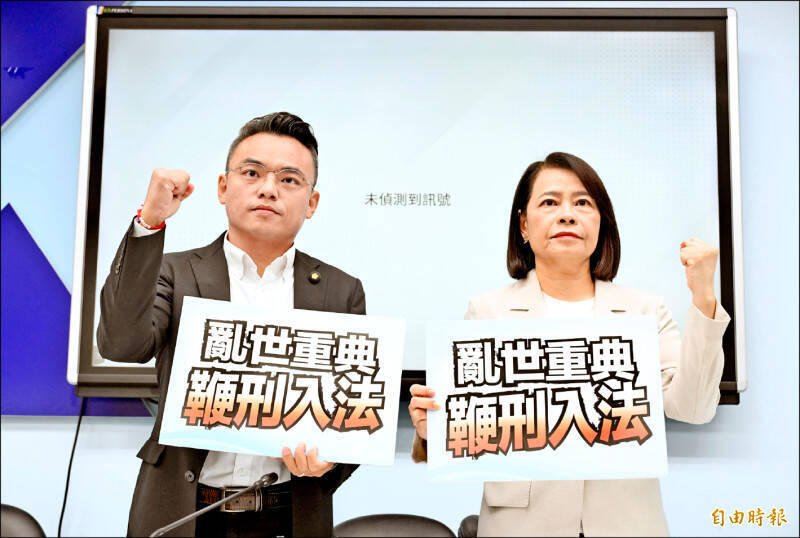 沈榮欽國際視野》微知識：公投鞭刑的謊言