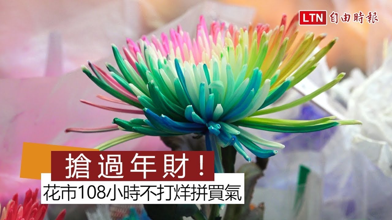 搶過年財！ 花市108小時不打烊拼買氣