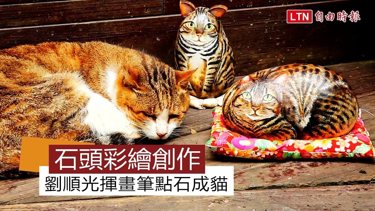不只石虎還有石頭貓？苗栗山林間的石頭彩繪者