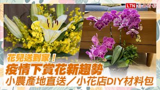 蝴蝶蘭300元送到家！疫情衝擊掀新趨勢：花農產地直送、花店推DIY材料箱