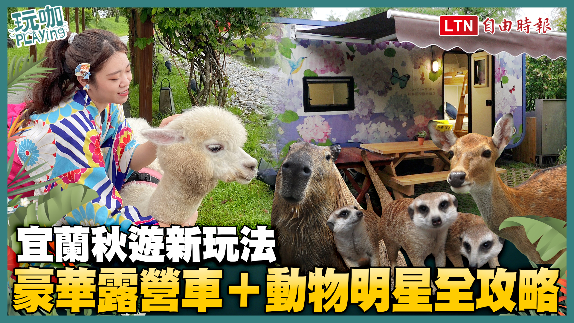 宜蘭秋遊新玩法 豪華露營車＋動物明星全攻略
