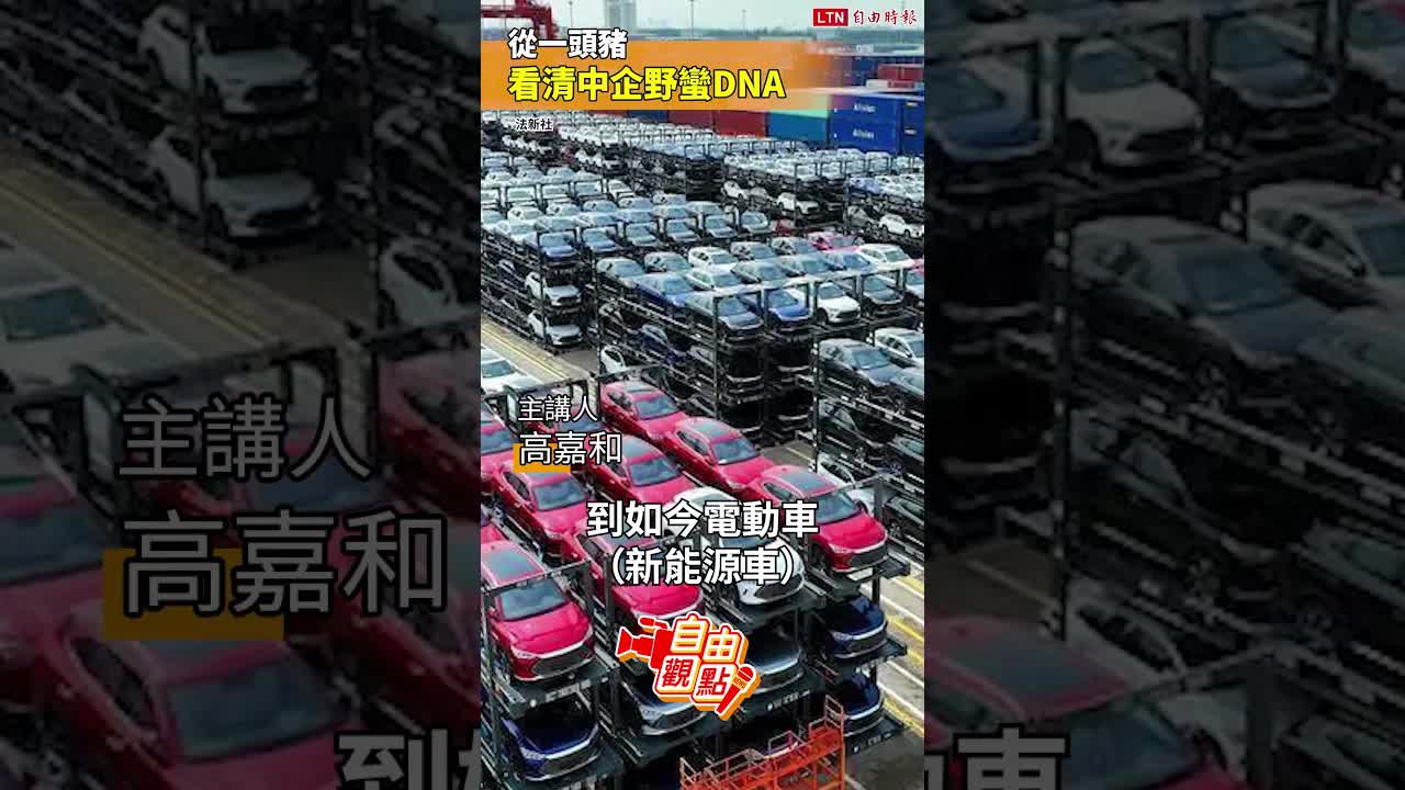 從一頭豬 看清中企野蠻DNA｜20260814 自由觀點｜#shorts
