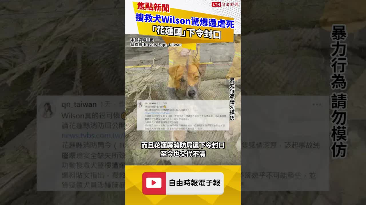 搜救犬Wilson驚爆遭虐死 「花蓮國」下令封口