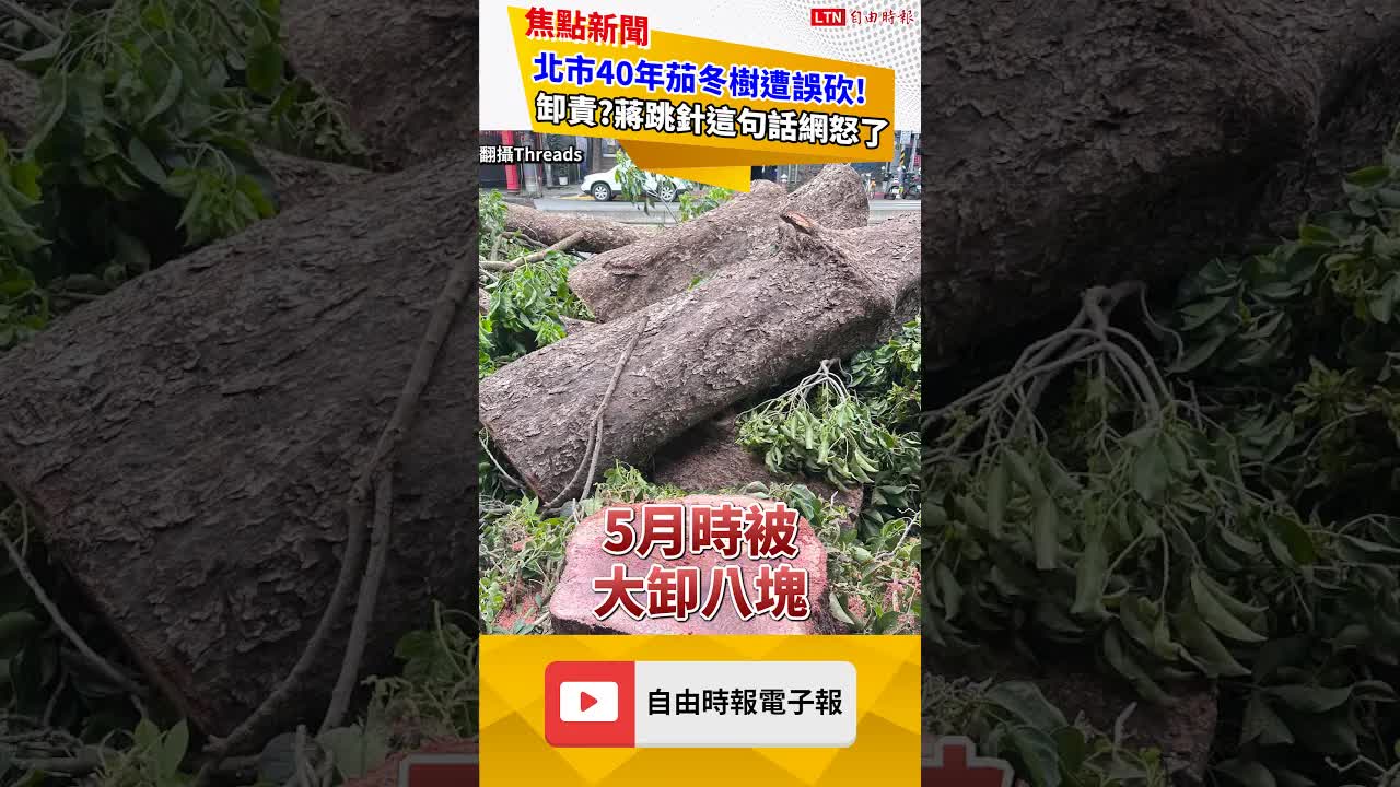 40年茄冬樹遭「誤砍」！蔣萬安跳針這句網怒了｜20260921 自由短影音｜#shorts