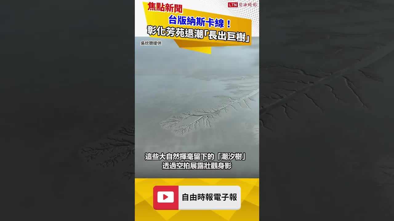 台版納斯卡線！彰化芳苑退潮「長出巨樹」 空拍揭奇幻大地畫作
